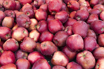 Many fresh red apple in a pile