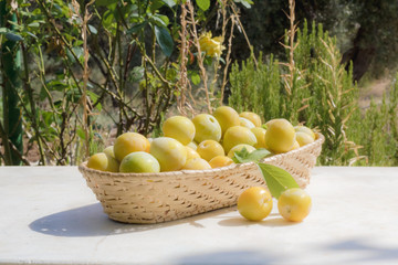 Basket of yellow plums
