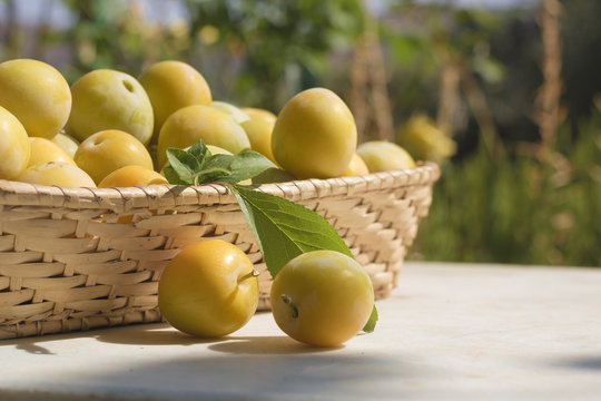 Basket of yellow plums