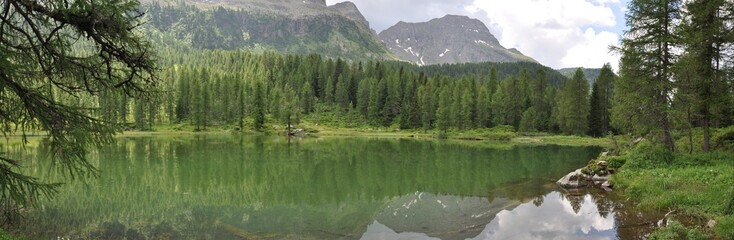 Trentino