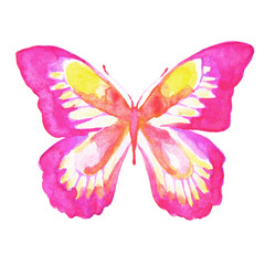 butterflies design