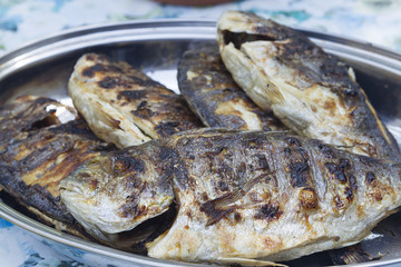 Grilled dorade fish