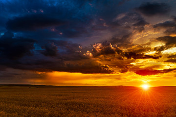 Fototapeta na wymiar Sunset in fields in summer