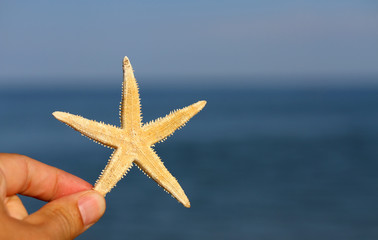 Fototapeta na wymiar hand with the white starfish and sea in the background