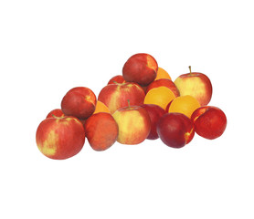 fruits