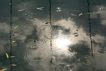 Raindrops falling on river with bridge reflection