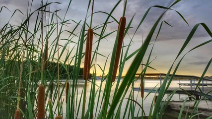 Texas Lake sunset through cattails
