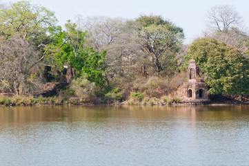 ancient temple on a lake in india - national park ranthambore - 67835060