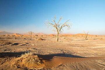 Fototapeta na wymiar Trek dans la vallée de la Tsauchab en Namibie