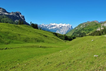 Blick von der Engstlenalp zum Wetterhorn