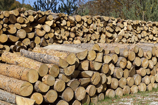Wood stacked after lumbering