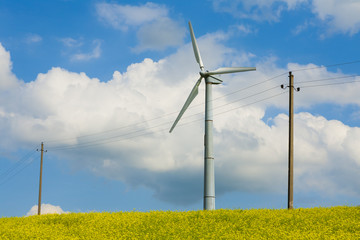 Wind turbine, propeller of wind turbine.