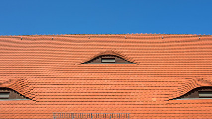 Fledermausgauben