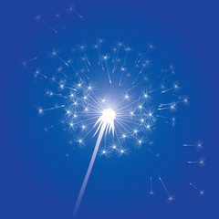 Obraz premium vector illustration of blowing dandelion