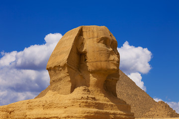 Fototapeta na wymiar The head of the sphinx