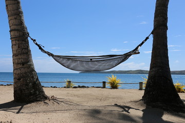 Tropical hammock