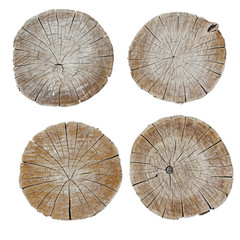 Fototapeta premium texture logs in the section