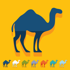 Flat design: camel