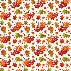 Autumn pattern with rowan berries. Vector seamless background.