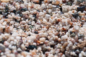 Beach-Small-Shells-Sand in Macro