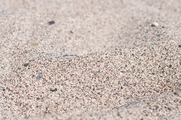 Beach-Small-Shells-Sand