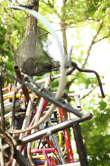 Fahrräder in der Natur