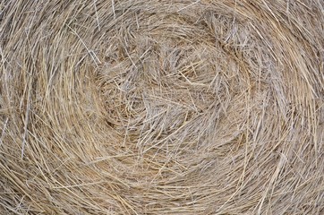 Hay bale as background