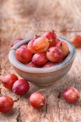 Rote Stachelbeeren