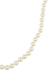 jewlery