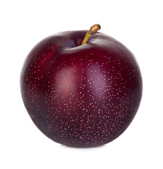 plum isolated on a white background