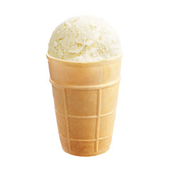 Vanilla ice cream