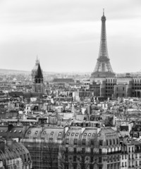 Black and White Aerial View of Paris with Eiffel Tower - 67848800