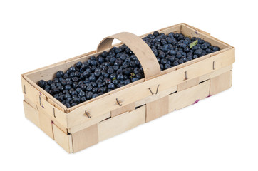 Basket of fresh blueberries