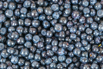 Blueberries background
