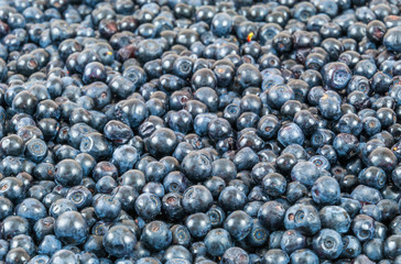 Blueberries background