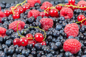 Blueberries raspberries red currant background