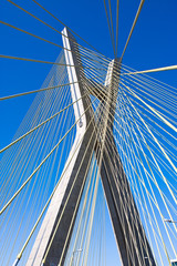 Detail of a cable-stayed bridge in Sao Paulo
