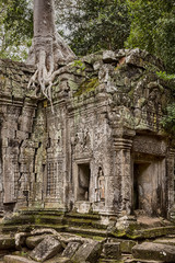 Naklejka premium Ta Prohm Jungle Temple