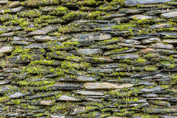 Stone wall with green moss