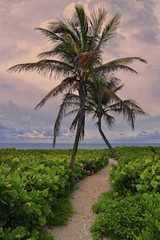 Tropical, empty beach, Miami Beach