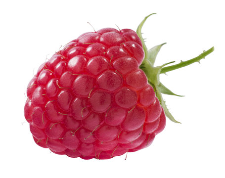 Single isolated raspberry on white background