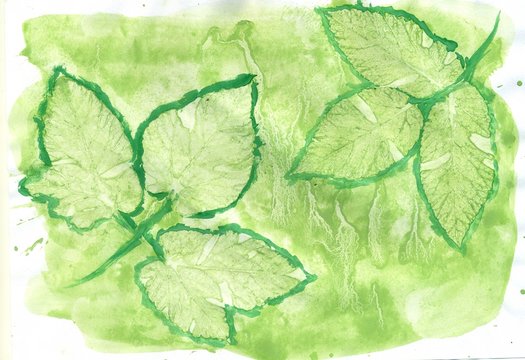 Green Painted Texture