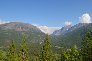 Fototapeta na wymiar subartic forest