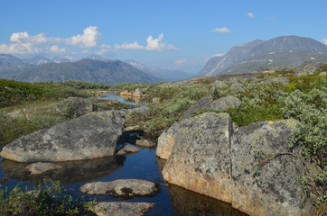 Fototapeta na wymiar little pond and rocks in the Norwegian mountains