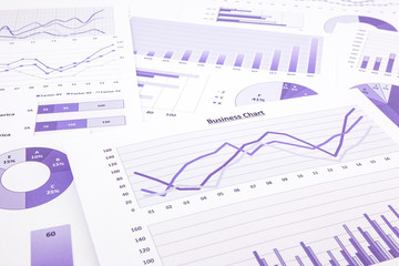 purple business charts, graphs, data and report summarizing back