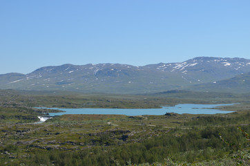 summer along the valley of the Norwegian fjord Skjomen