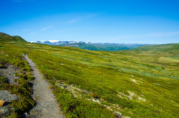 Fototapeta na wymiar Trekking in the Landscape of Hardangervidda - Norway