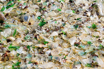 A large amount of trash polluting