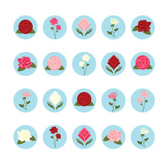 Rose flower icons set. Illustration eps10