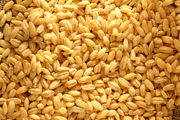 Fototapeta premium Pearl barley on sack